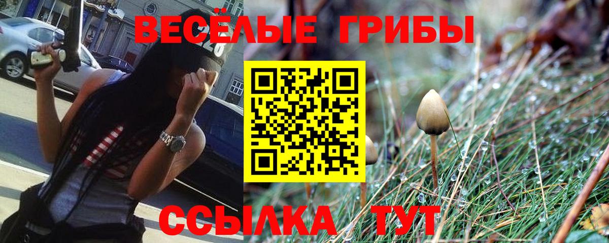Псилоцибиновые грибы мухоморы Городец