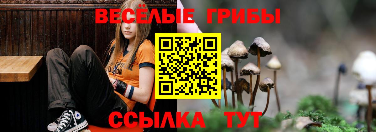 Городец  Галлюциногенные грибы Psilocybine cubensis  Галлюциногенные грибы Psilocybine cubensis  Вход с VPN 